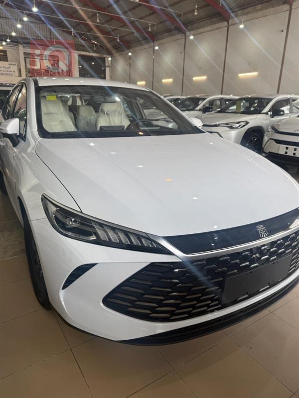 بي واي دي Qin Plus 2025 للبيع في العراق - اربيل